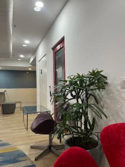 WebSurge - Website Development & Digital Marketing Agency