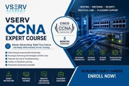 Vserv Academy - Best Training Institute For IT Courses in Noida