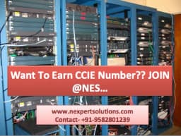 CCNA Training Institute