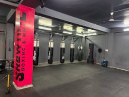 Showtime boxing mma