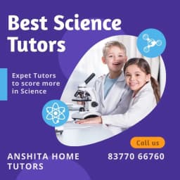 Anshita Home Tutors - Noida Extension
