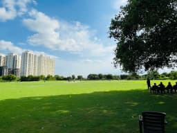VP Cricket Ground