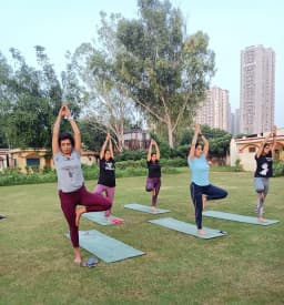 Maharishi Yoga Centre