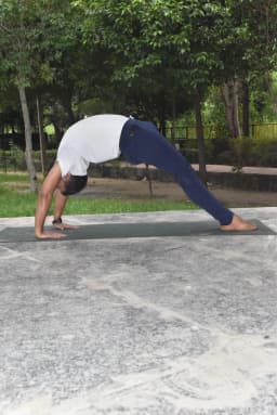 Prana Yoga Classes
