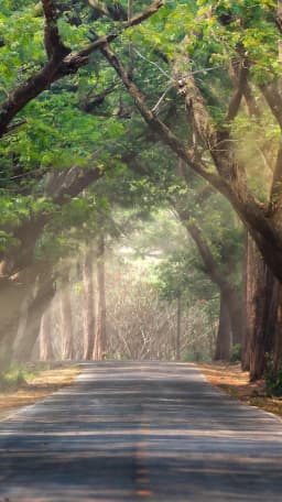 Sanjeevni Yoga & Naturopathy Centre