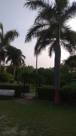 S.K. Sharma Park