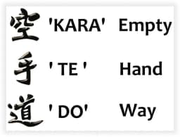 Rizan thapa Karate classes